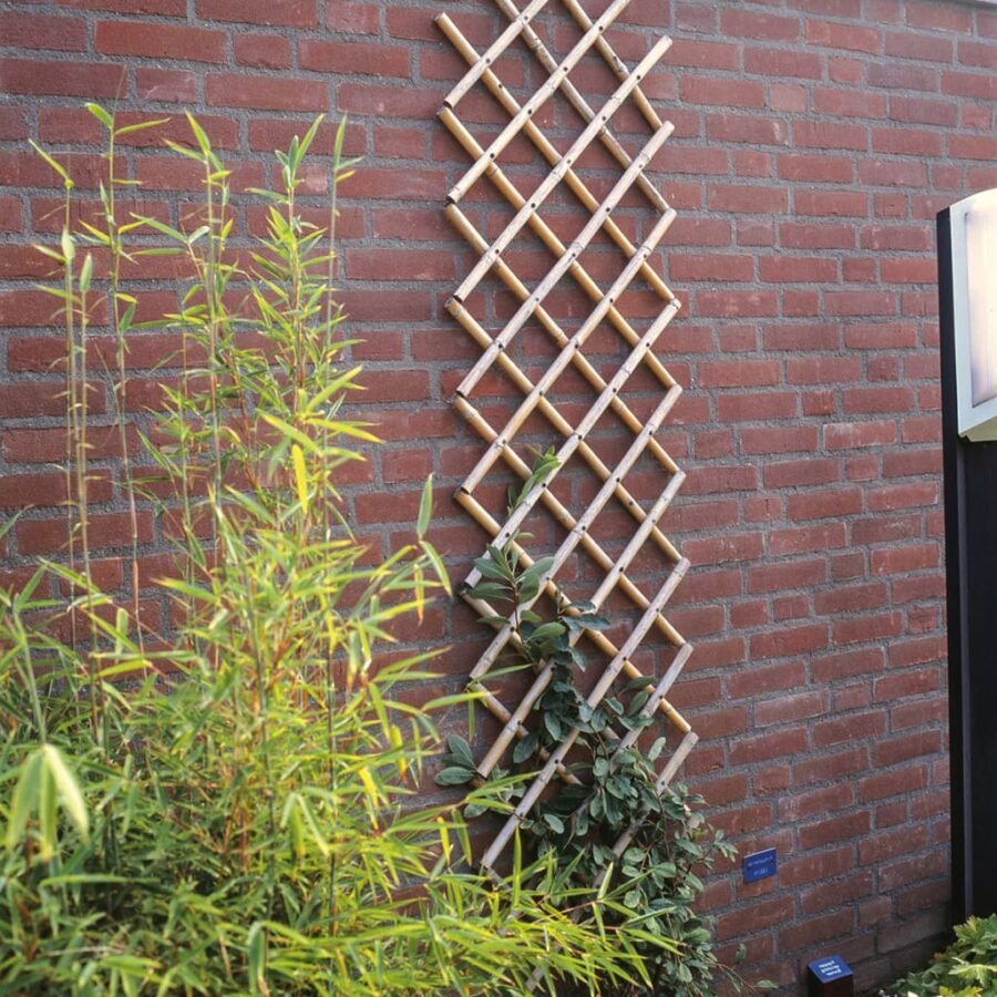 Nature Latwerk voor tuin 45x180 cm bamboe 6040720 - Afbeelding 2