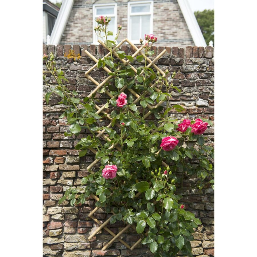 Nature Latwerk voor tuin 100x200 cm bamboe 6040722 - Afbeelding 3