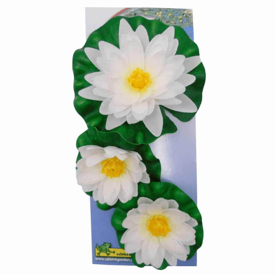 Ubbink 3-delige Waterlelieset decoratief wit - Afbeelding 3