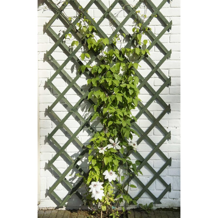 Nature Tuinlatwerken 2 st 50x150 cm hout groen - Afbeelding 2