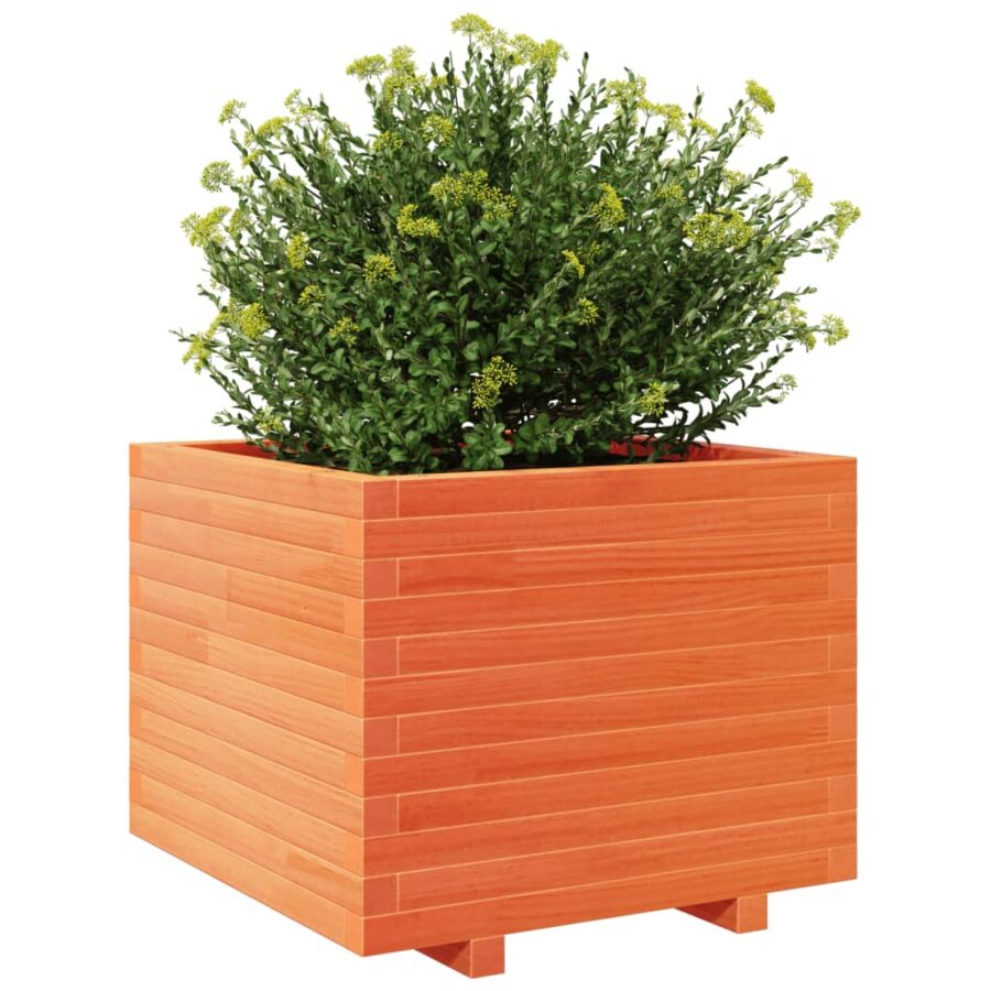 Plantenbak 60x60x49,5 cm massief grenenhout wasbruin - Afbeelding 4