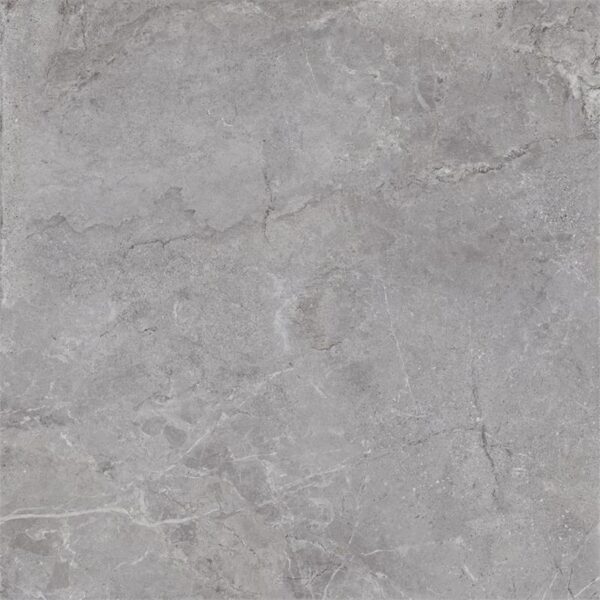 Dutch Design Evolution Grey 100X100