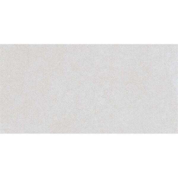 Argenta Mistery White 30X60