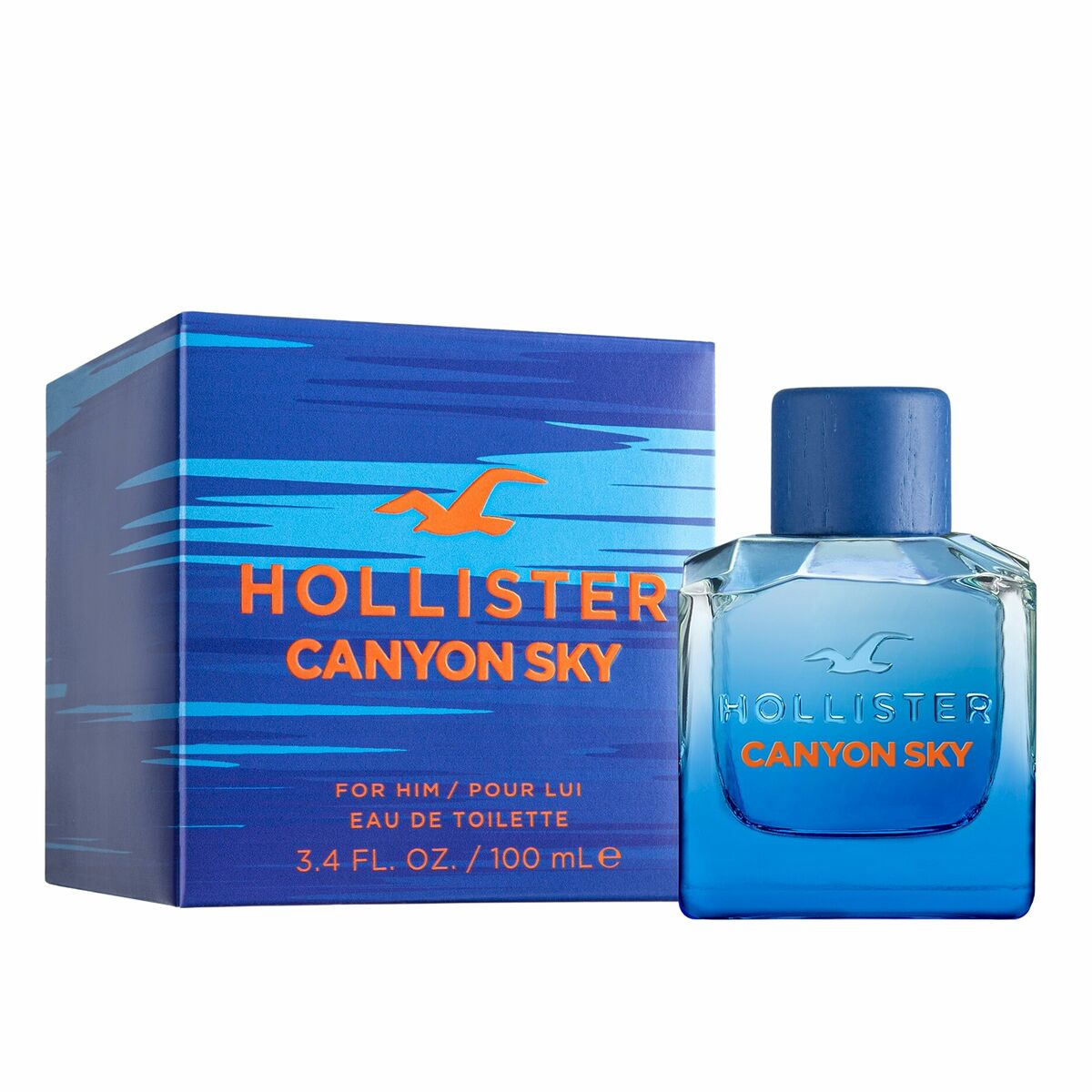 Herenparfum Hollister Canyon Sky EDT 100 ml