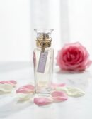 Adolfo Dominguez AGUA FRESCA DE ROSAS eau de toilette spray 60 ml