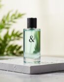 Tiffany & co Tiffany & Co TIFFANY & LOVE FOR HIM eau de toilette spray 90 ml