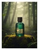 Dsquared2 GREEN WOOD POUR HOMME eau de toilette spray 100 ml