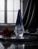 Givenchy ANGE OU DÉMON eau de parfum spray 100 ml