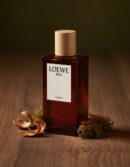 SOLO LOEWE CEDRO eau de toilette spray 100 ml