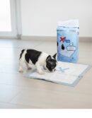 Gloria Pets MARKS THE SPOT empapadores super absorbentes 30 u