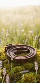 Men For San COLLAR perros anti-insectos 60 cm