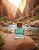 Hollister CANYON ESCAPE FOR HIM eau de toilette spray 100 ml