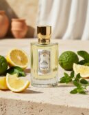 Goutal EAU DU SUD eau de toilette spray 100 ml