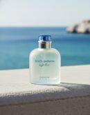 Dolce & gabbana Dolce & Gabbana LIGHT BLUE POUR HOMME edt vapo 125 ml