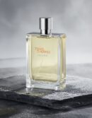 TERRE D'HERMÈS EAU GIVRÉE edp vapor refillable 175 ml