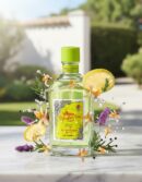 Alvarez gomez EAU FRAICHE CONCENTRATED EAU DE COLOGNE LOT 2 pz