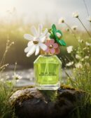 Marc Jacobs DAISY WILD edp vapo 50 ml