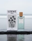 Loewe DROP WATER edp vapo 100 ml