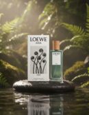Loewe DROP WATER edp vapo 50 ml