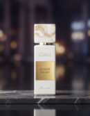 Gritti GOSSIP NIGHT edp vapo 100 ml