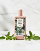 Parfums Saphir VERBENA edt vapo 50 ml