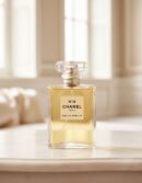 Chanel Nº 19 eau de parfum spray 100 ml