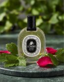 Diptyque L'OMBRE DANS L'EAU edt vapo 50 ml