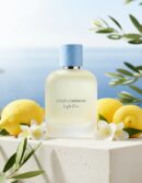 Dolce & gabbana Dolce & Gabbana LIGHT BLUE POUR HOMME edt vapo 100 ml
