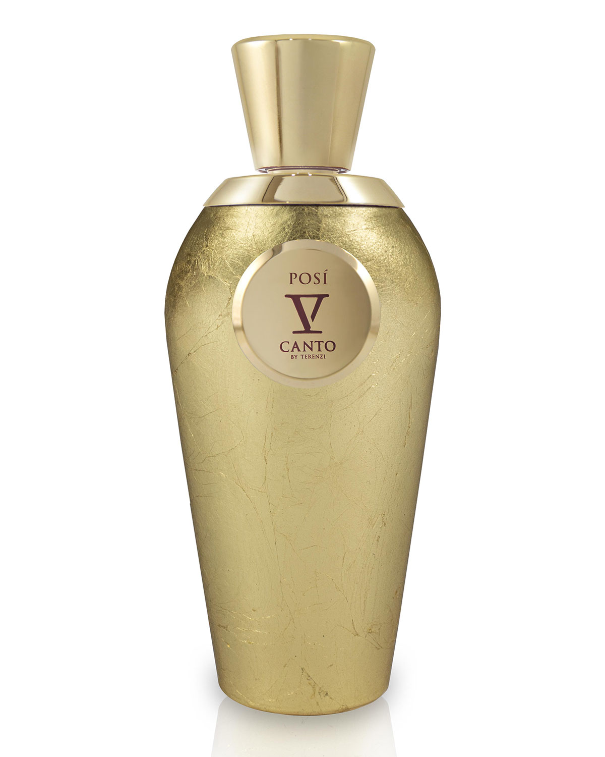 V Canto Posi Extrait de Parfum 100ml Spray