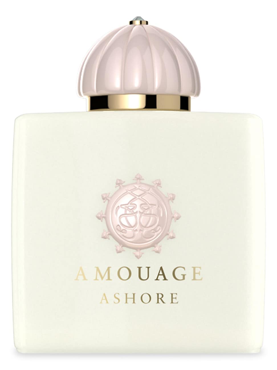 Amouage Ashore Eau de Parfum 100ml Spray