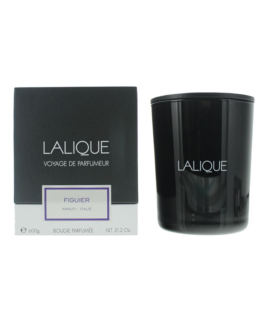 Lalique Kaars 600g - Figuier Amalfi