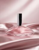 Calvin Klein EUPHORIA edt vapor 100 ml