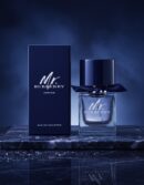 MR BURBERRY INDIGO eau de toilette spray 50 ml
