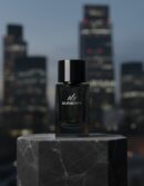 MR. BURBERRY eau de parfum vapor 100 ml