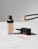 Shiseido SYNCHRO SKIN self refreshing dual tip concealer #201 light 5.8 ml