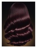 L'orÉal professionnel paris MAJIREL beauty coloring cream #4.62 60 ml