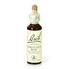 Bach 07 Chestnut Bud 20ml