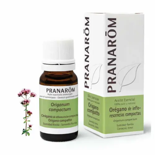 Pranarom Oregano Compact Flowering Top Essential Oil 10ml