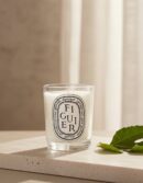 Diptyque SCENTED CANDLE figuier 190 gr