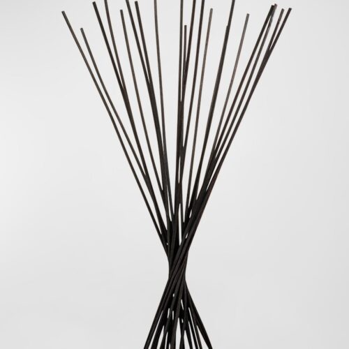 Dr. Vranjes Firenze Black Reed Sticks 34cm