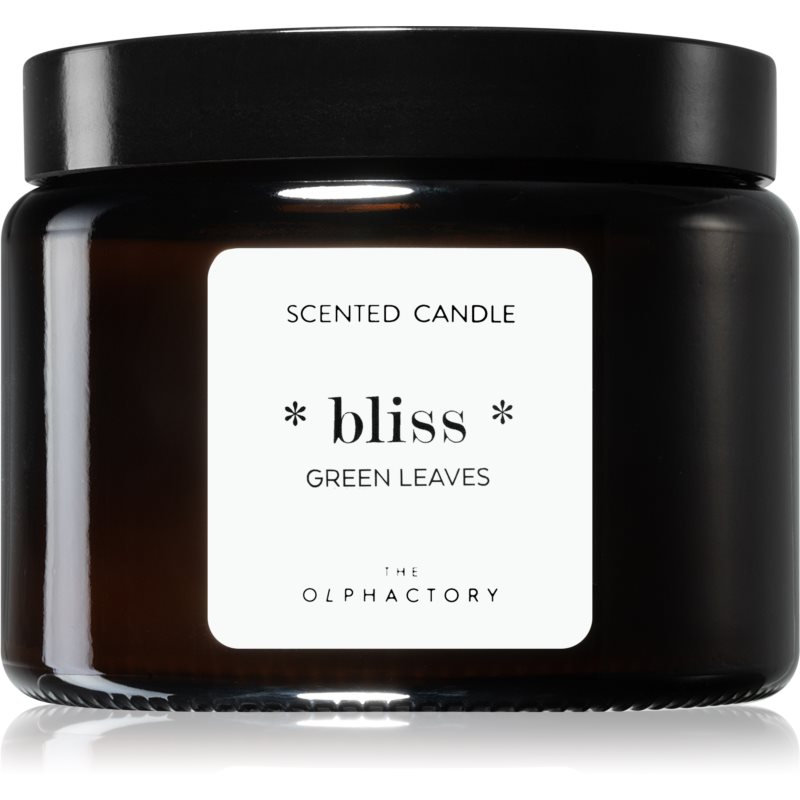 The Olphactory Bliss Green Leaves Geurkaars 360g