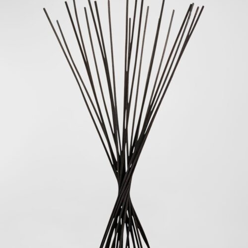 Dr. Vranjes Firenze Black Sticks Reeds 40cm