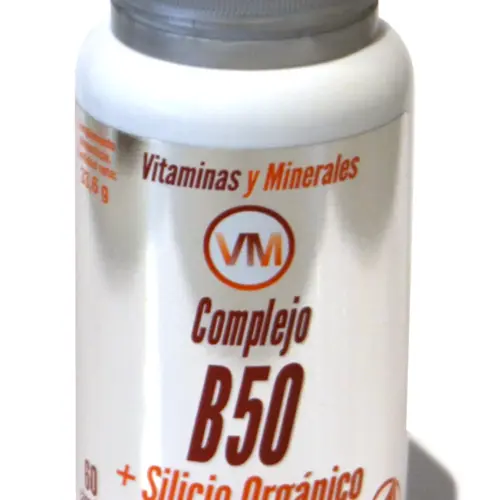 Ynsadiet Complejo B 50 Silicio Organico 60 Caps