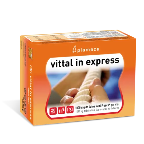 Plameca Vittal In Express