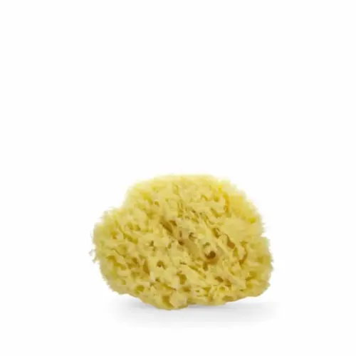 Lua & Lee Sponge 1 Unit