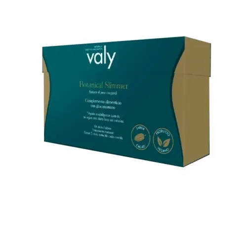 Valy Ion Booster Slimmer Pack 84 Stick +54 Patches