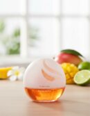 Air-wick DECO SPHERE mango & lime air freshener 75 ml