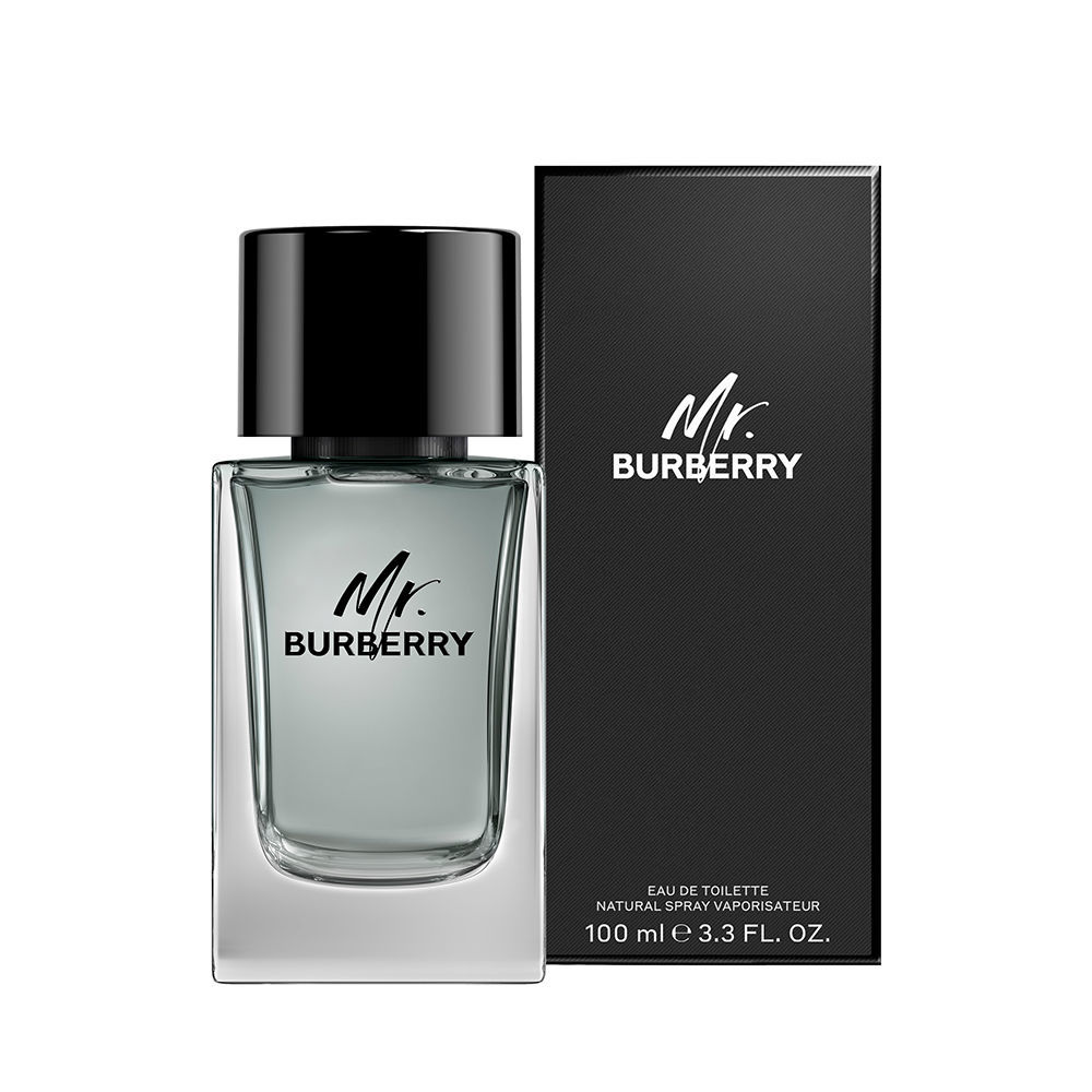 MR BURBERRY eau de toilette spray 100 ml