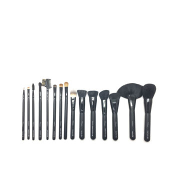 PROFESSIONAL BRUSHES AND BRUSHES CASE 15 pcs