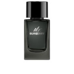 MR. BURBERRY eau de parfum vapor 100 ml